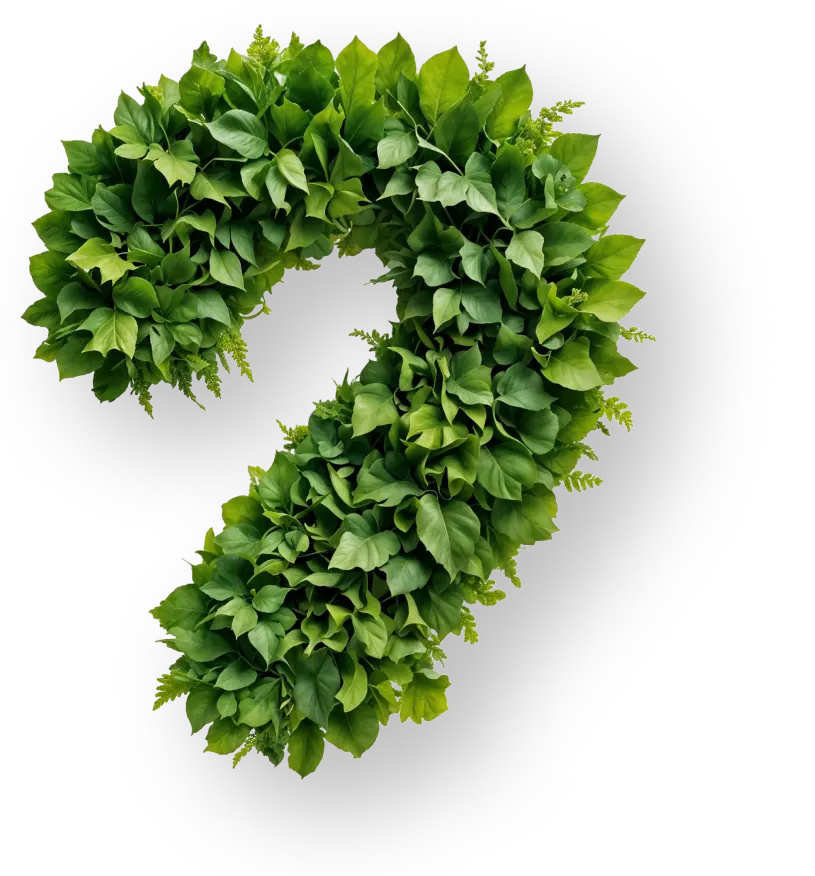BIUS FAQ